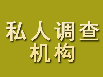 松江私人调查机构